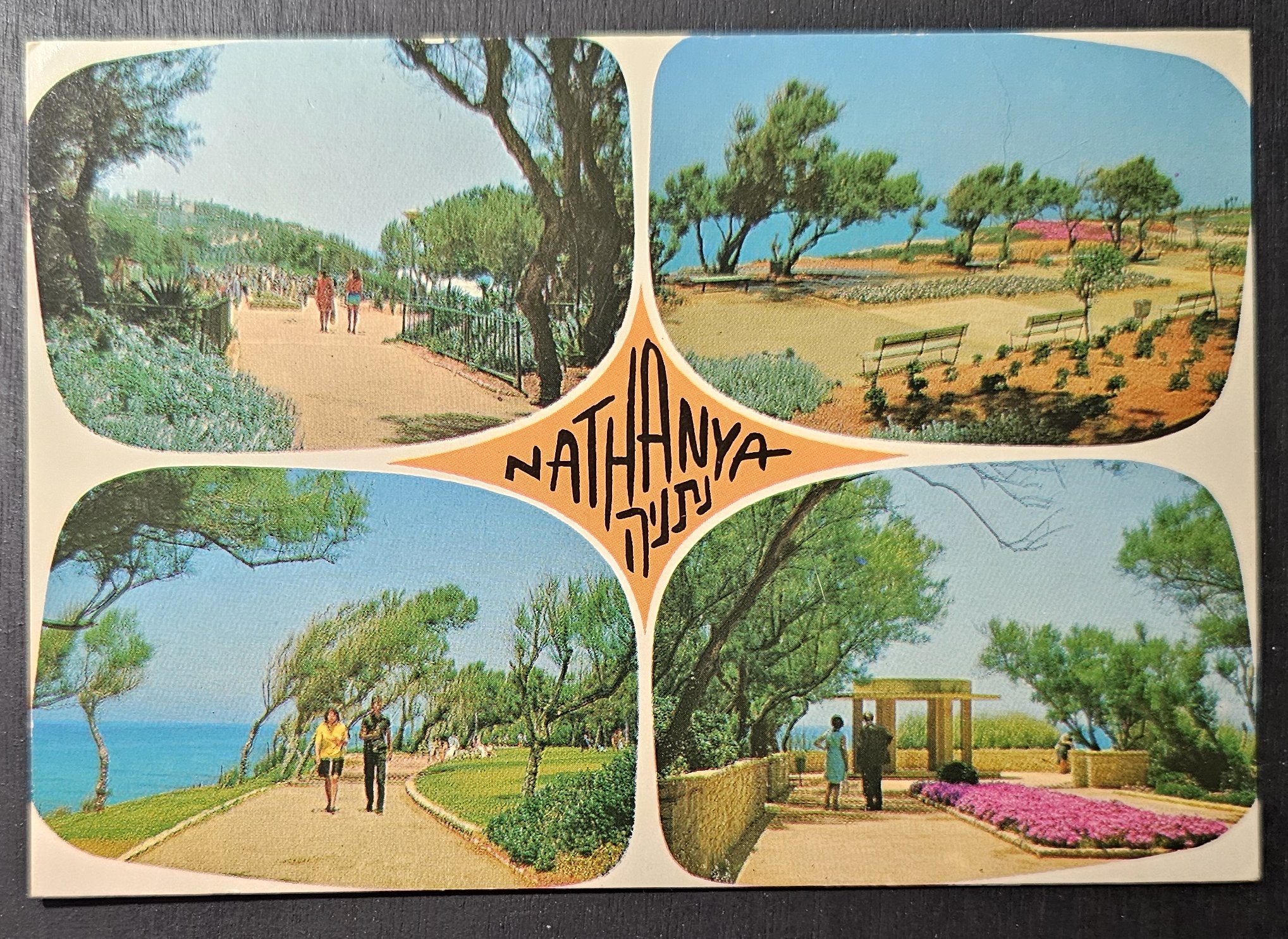 (image for) postcard Israel #0015